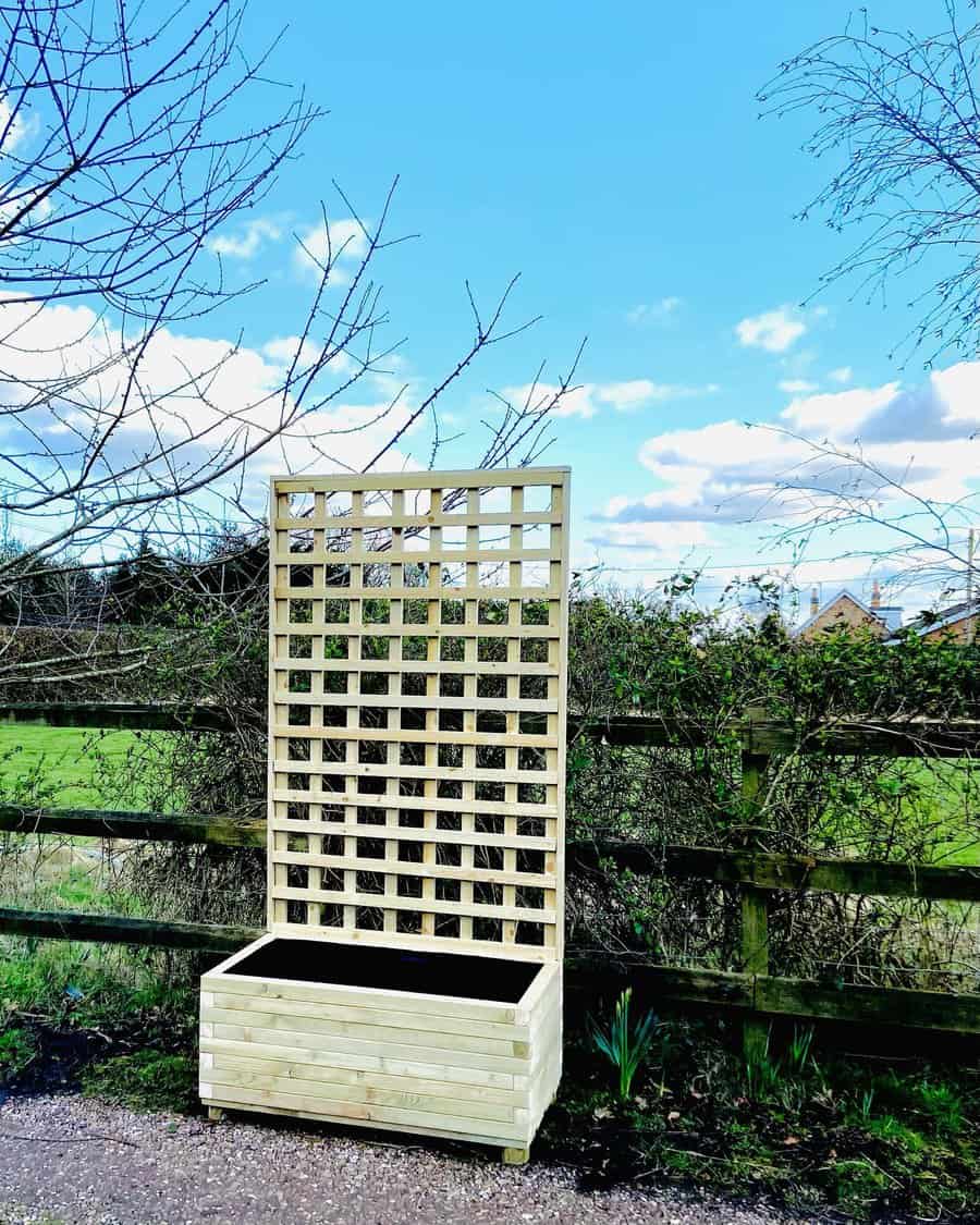 Vegetable garden with trellis support