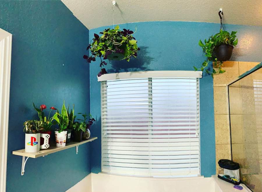 Bathroom with plants