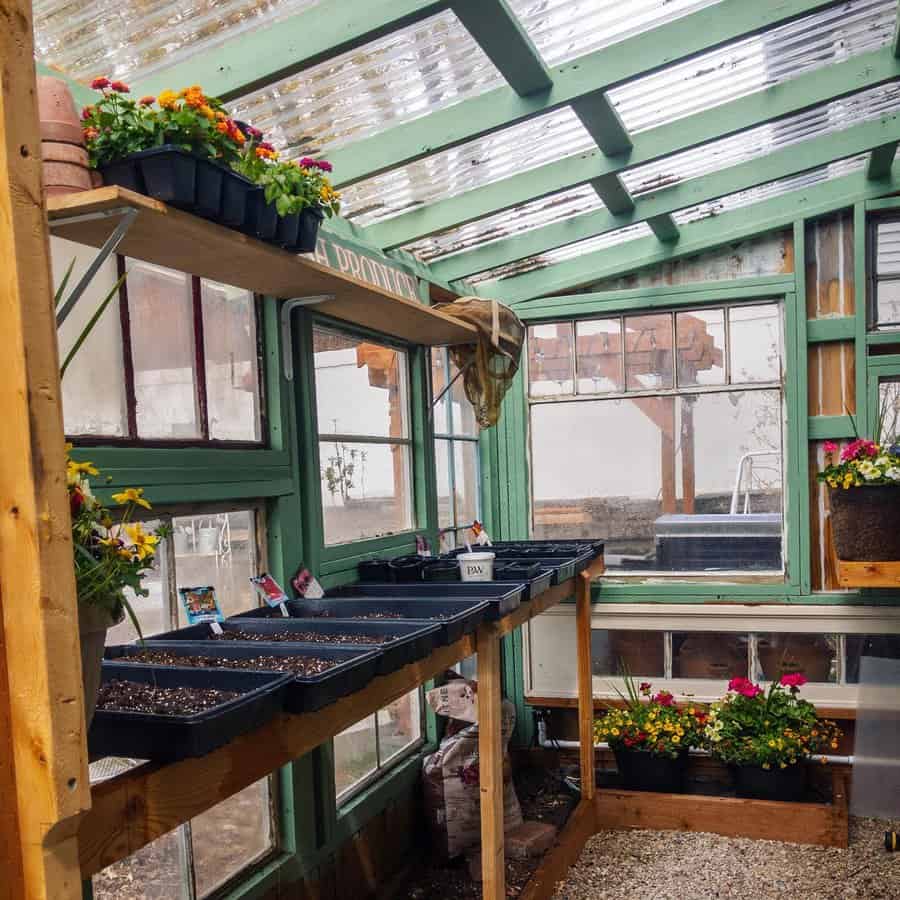 Greenhouse with various plants and flowers on shelves