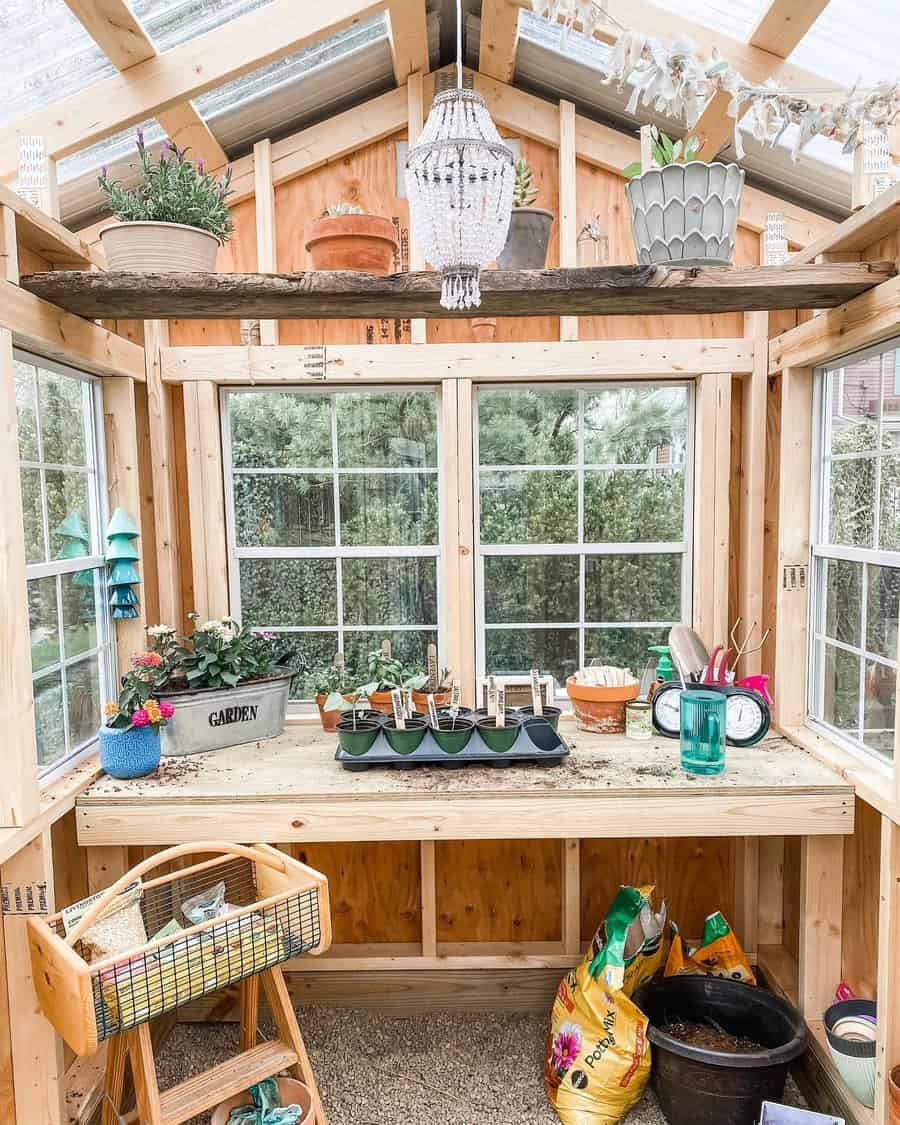 Greenhouse interior with table