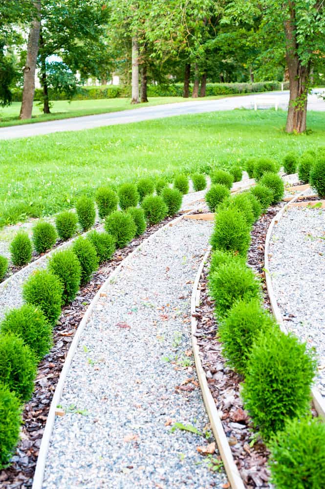 rocky walk path with landscaping