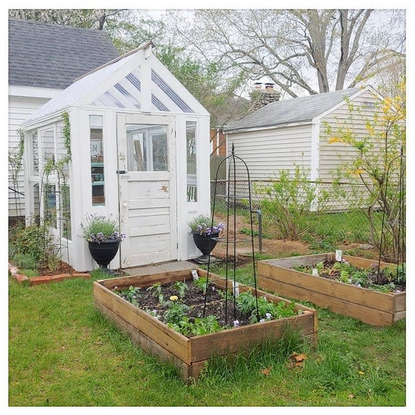 Mini wooden greenhouse