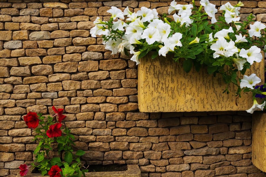 Raw stone garden wall