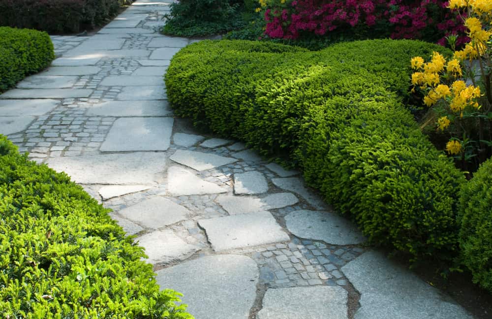 Flagstone walkway