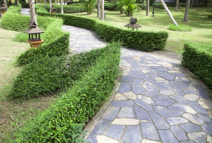 Flagstone walkway