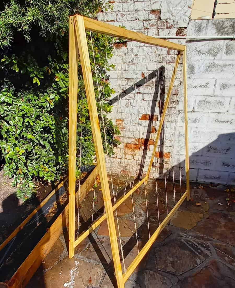 Climbing plant trellis ideas