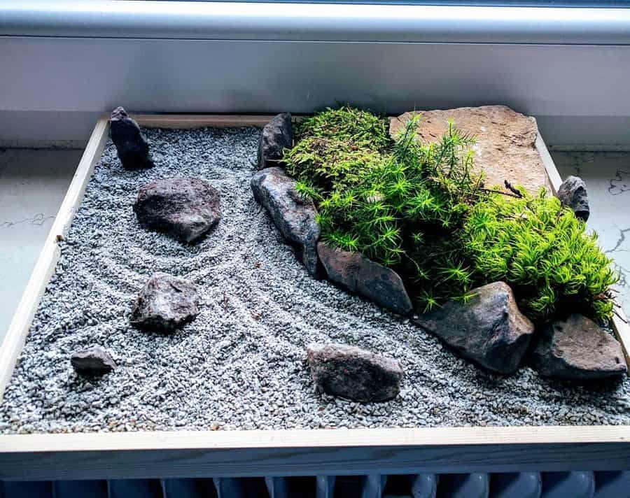 Micro zen garden