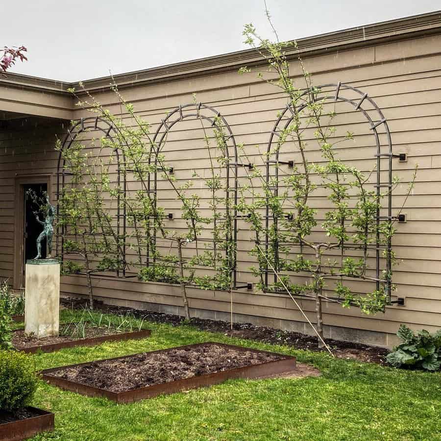 Wall trellis ideas