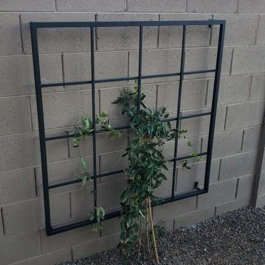 Wall trellis ideas