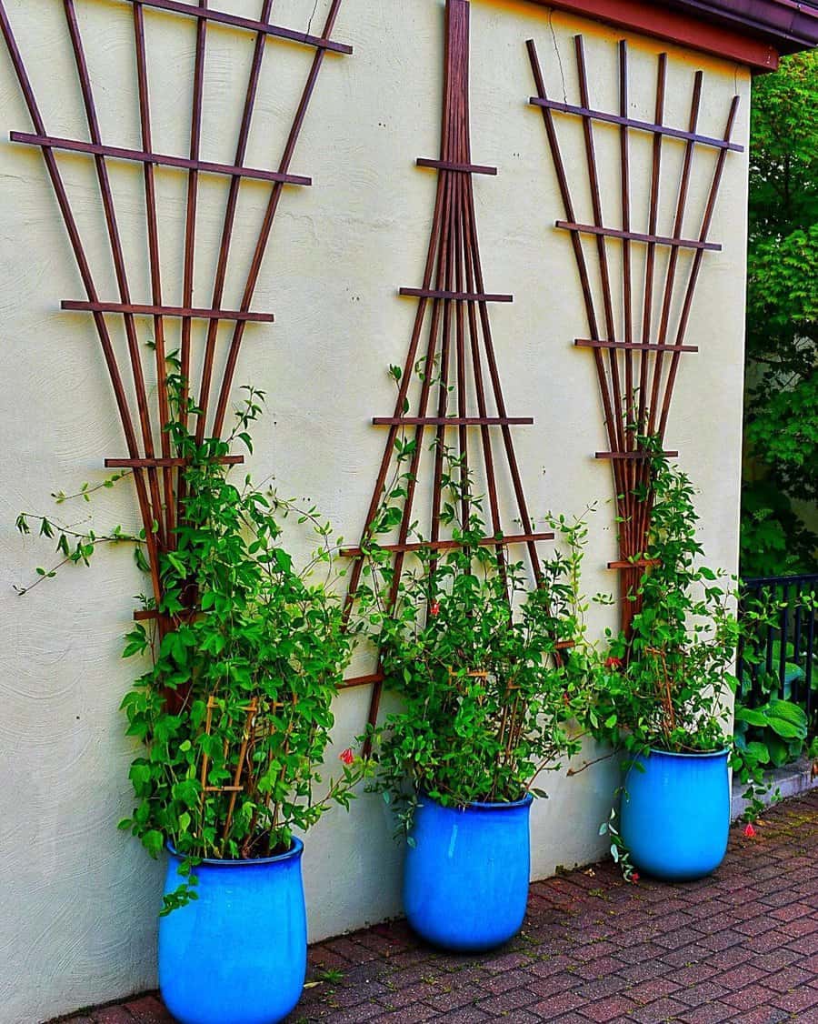 Wall trellis ideas