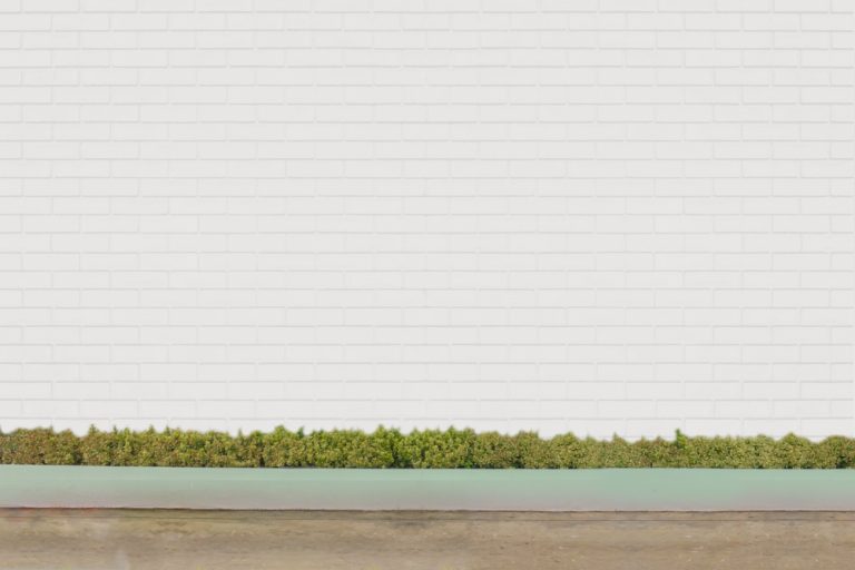 14 Garden Wall Ideas for Your Landscape