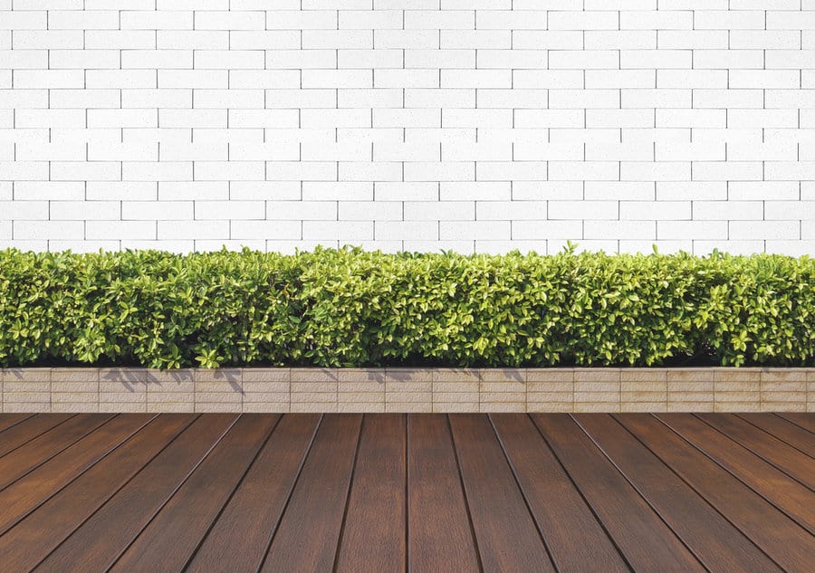 White subway brick garden wall