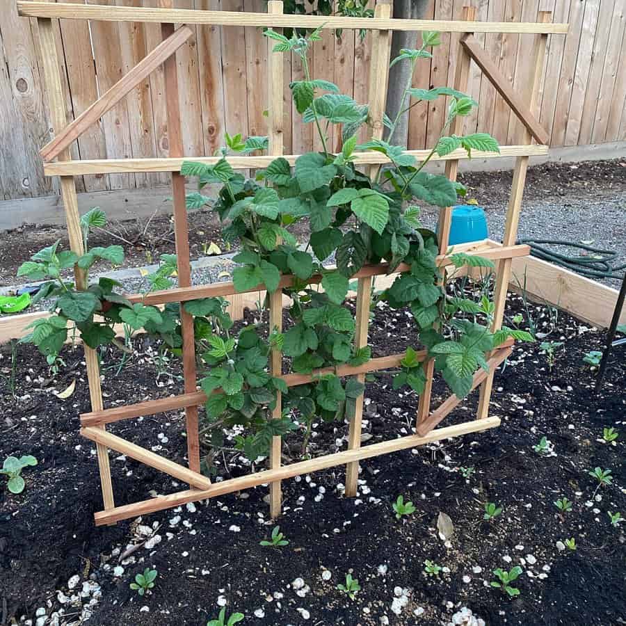 DIY durable wood trellis design