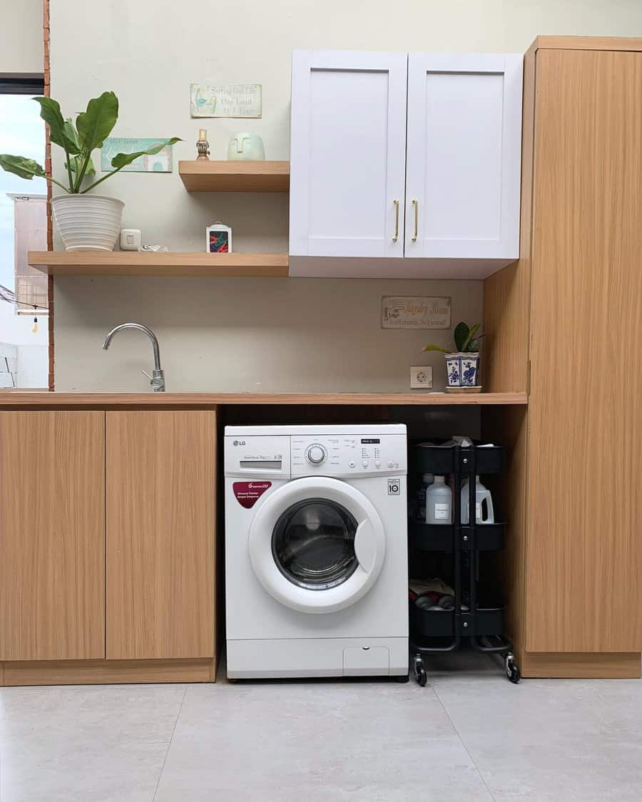 Rustic laundry area