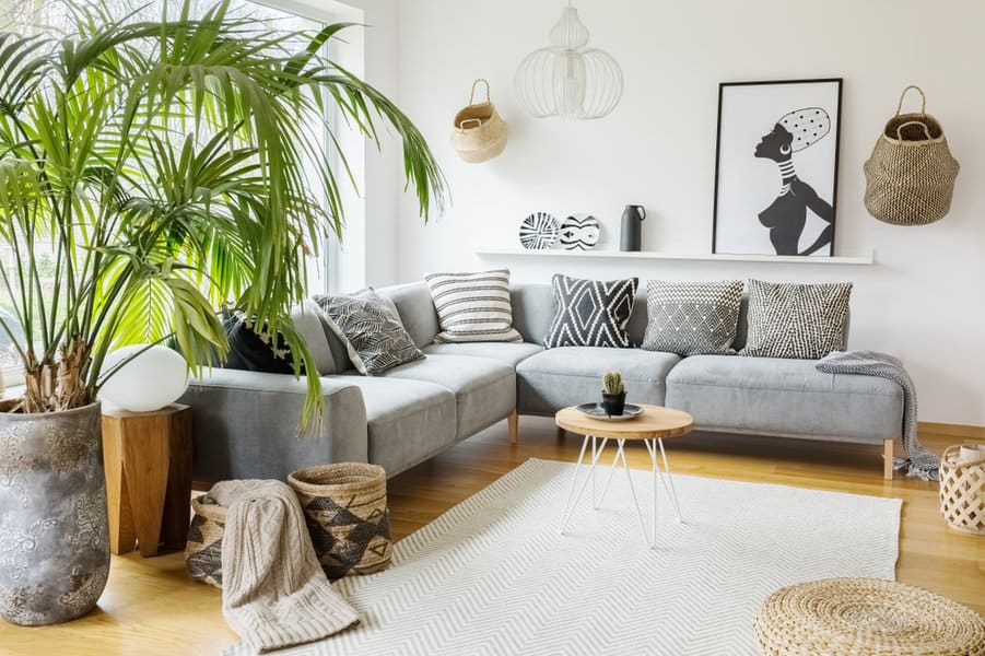 Greenery and plants in an apartment living room