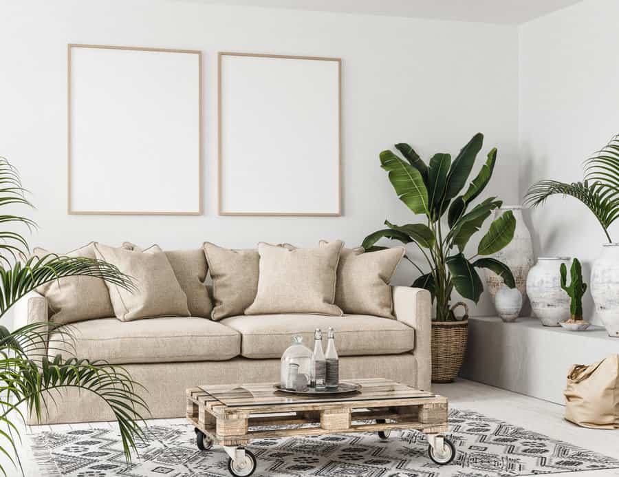 Greenery and plants in an apartment living room