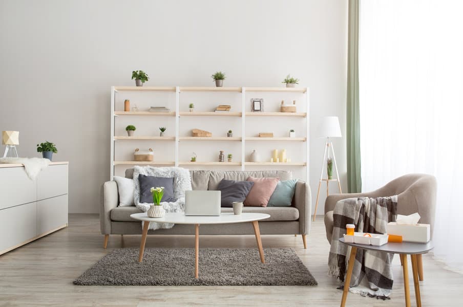 Greenery and plants in an apartment living room