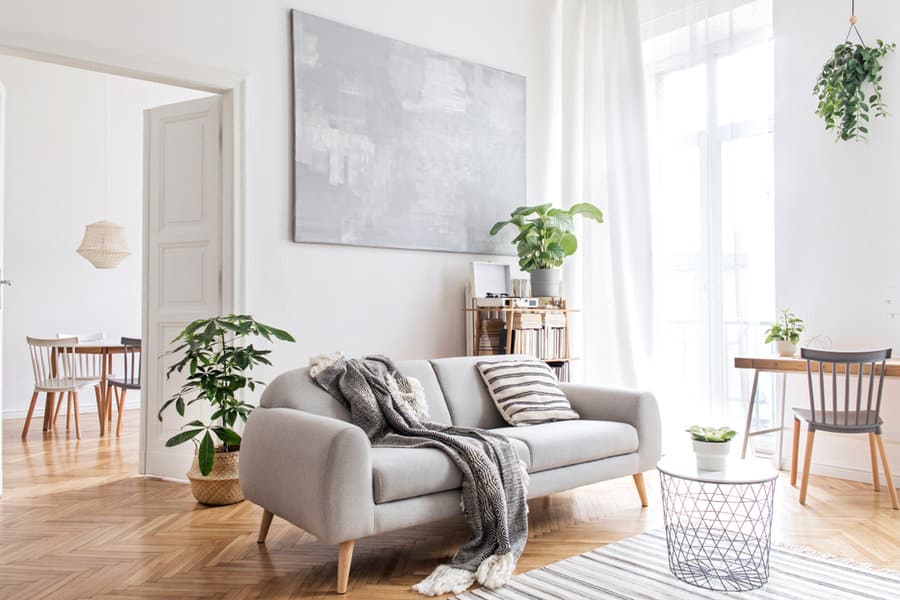 Greenery and plants in an apartment living room