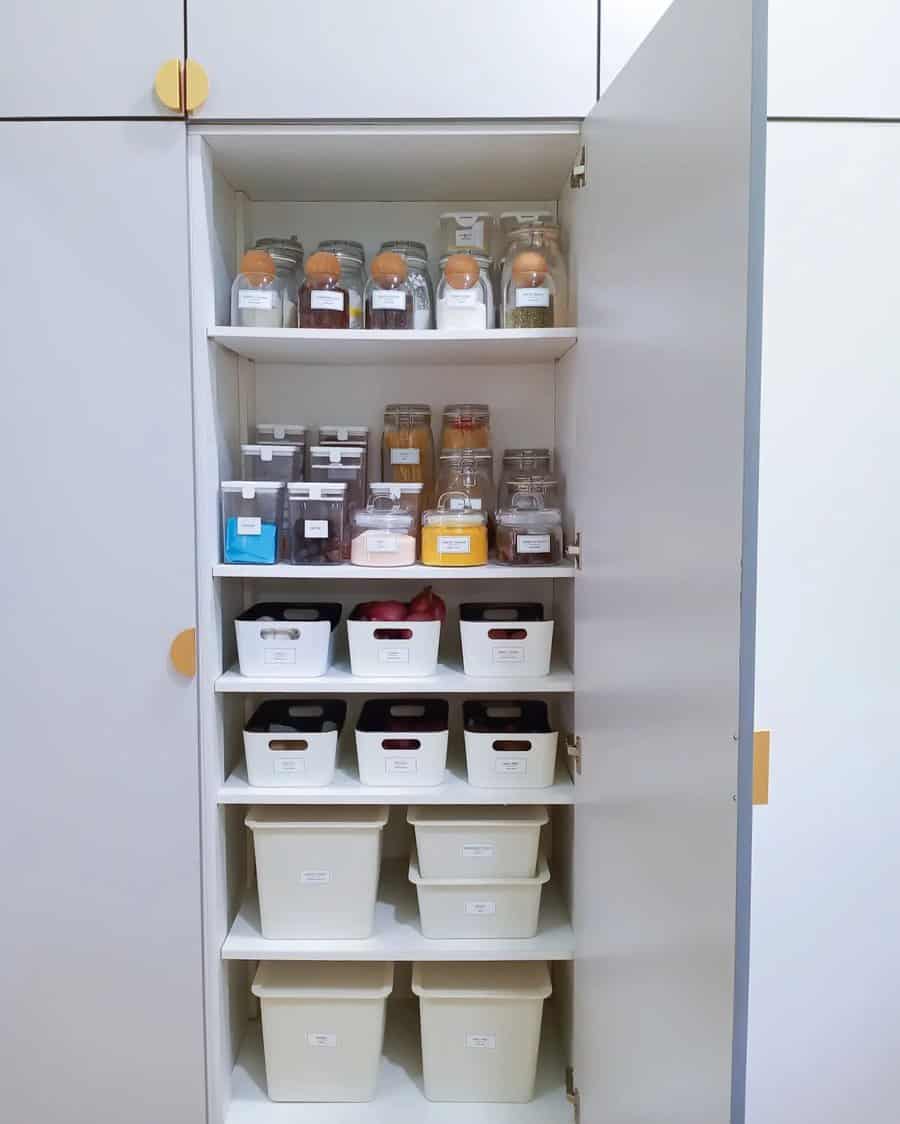 labeled pantry organizers