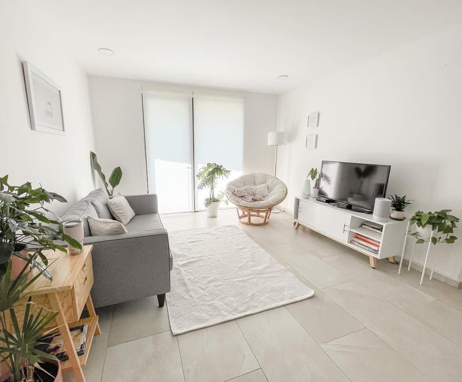 Greenery and plants in an apartment living room