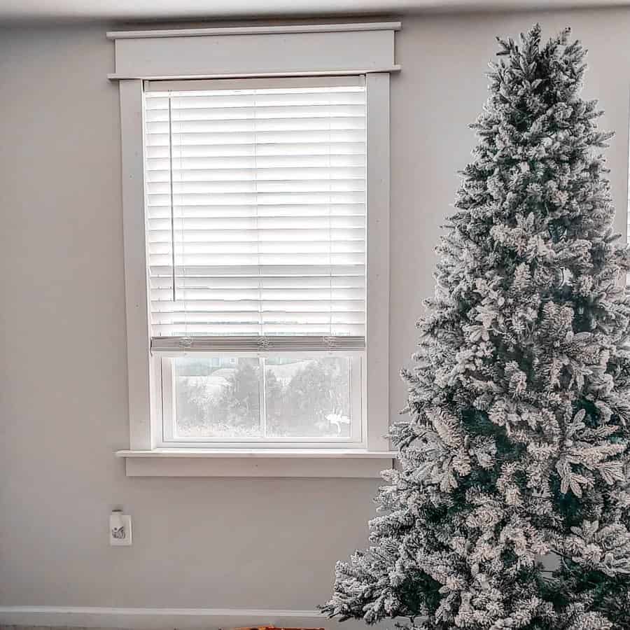 White window trim
