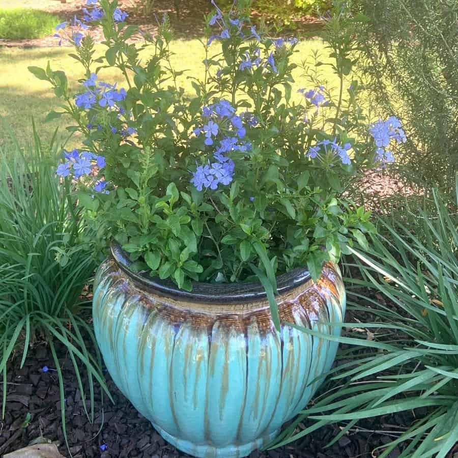 Container Garden Flower Bed Ideas 6 lory franke the realtor