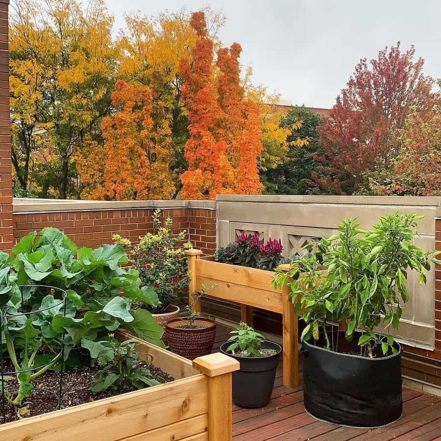 Backyard deck garden with potted plants