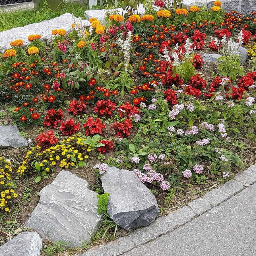 Landscaping Flower Bed Ideas 5 vero fru