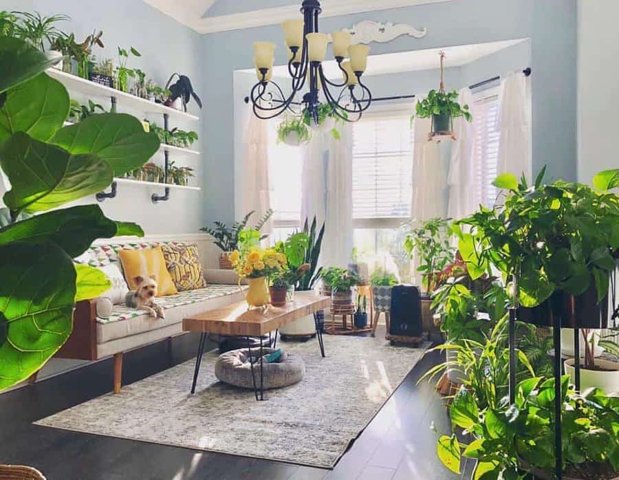 Plant sunroom living room