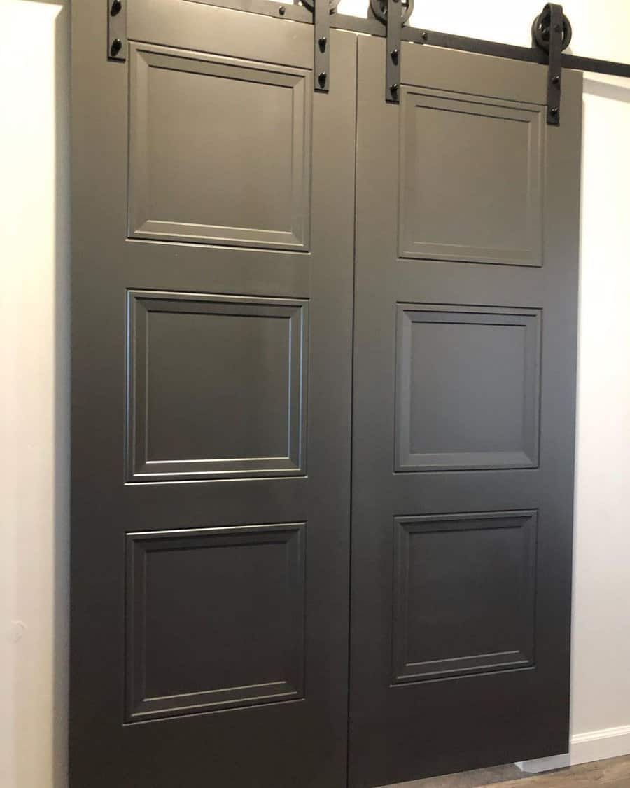 Double barn door