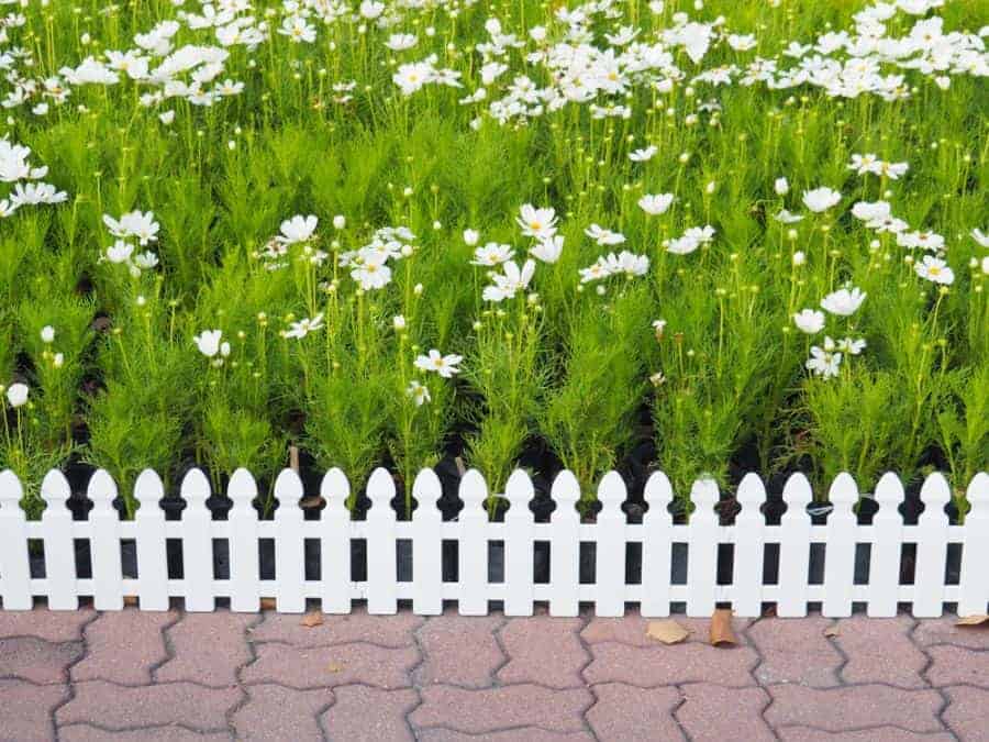 Picket Wood Fence Ideas 3