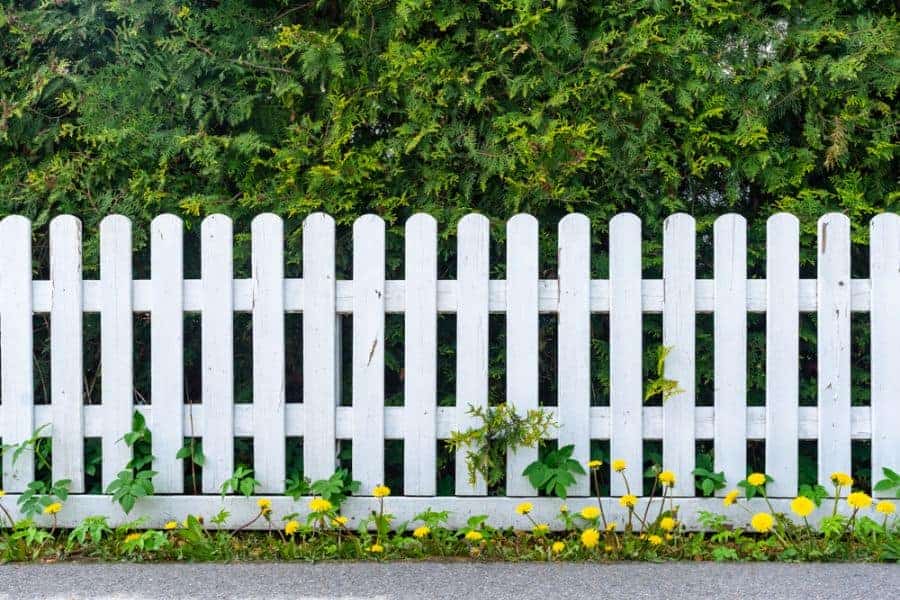 Picket Wood Fence Ideas 4