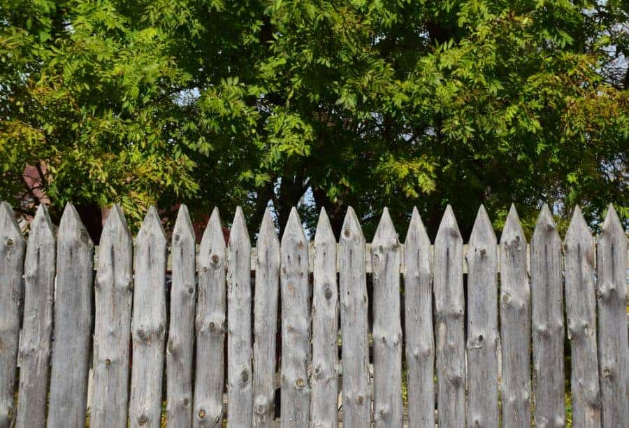 9 Wood Fence Ideas for Your Home