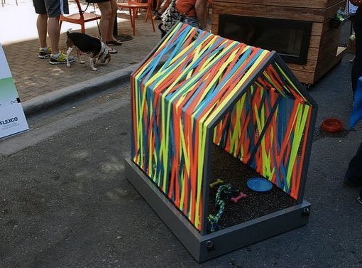 rainbow dog house