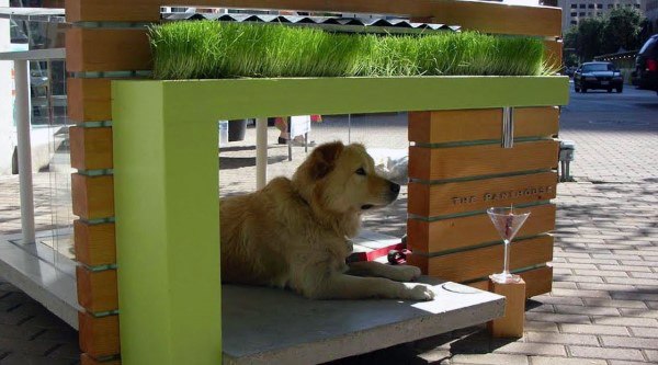 dog house with plant boxes 