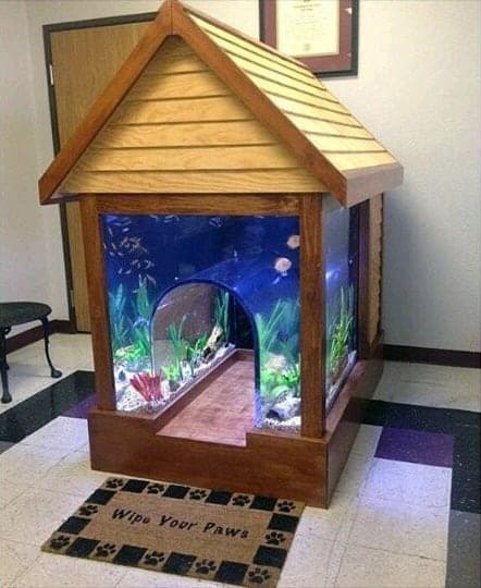 aquarium-themed dog house