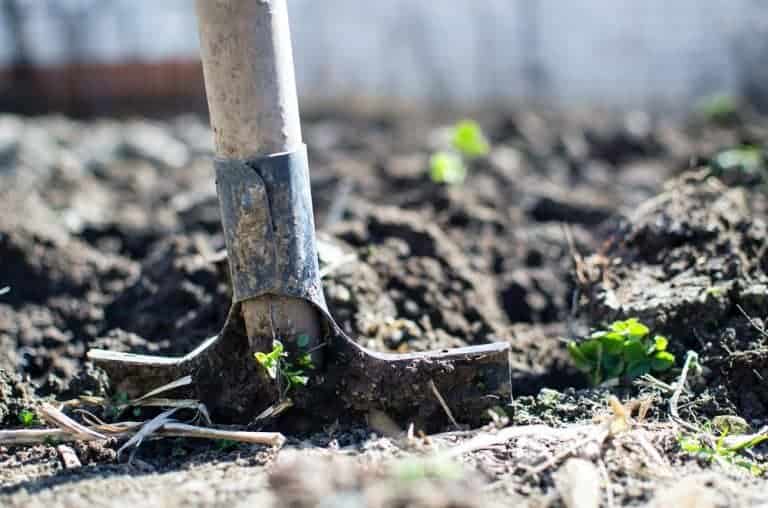 digging with shovel