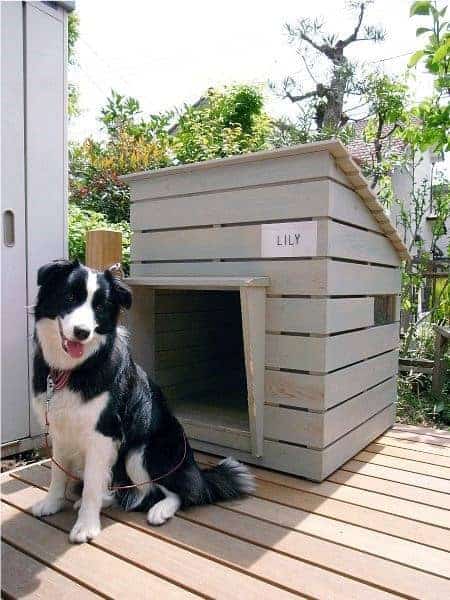 cabin shiplap dog house