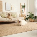 pet-friendly living room