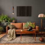 living room plants