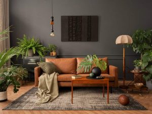 living room plants