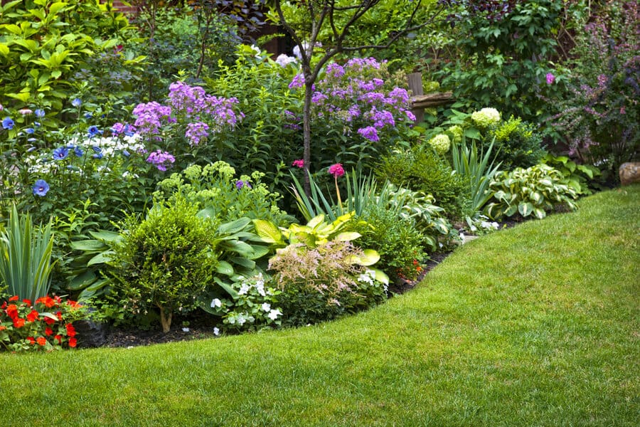 Cheap and easy landscaping