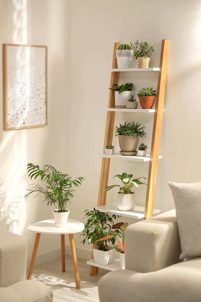 Ladder Plant Stand 1