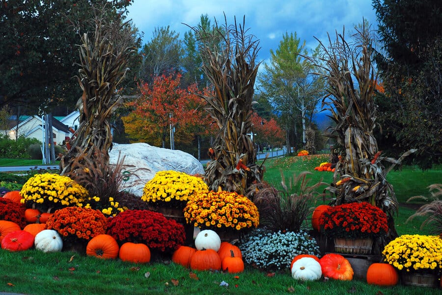 Front yard with pumpkins