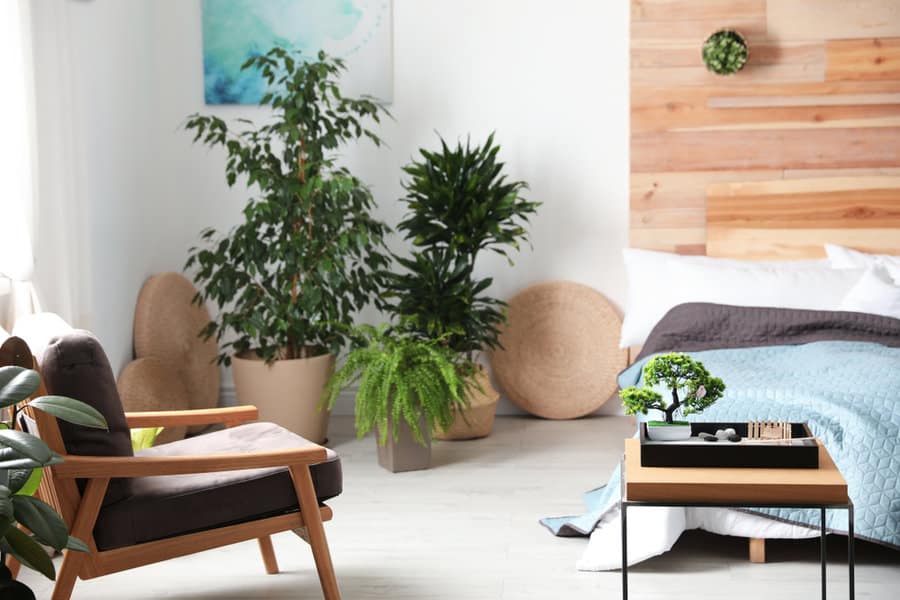 Zen bedroom with plants and wooden accents