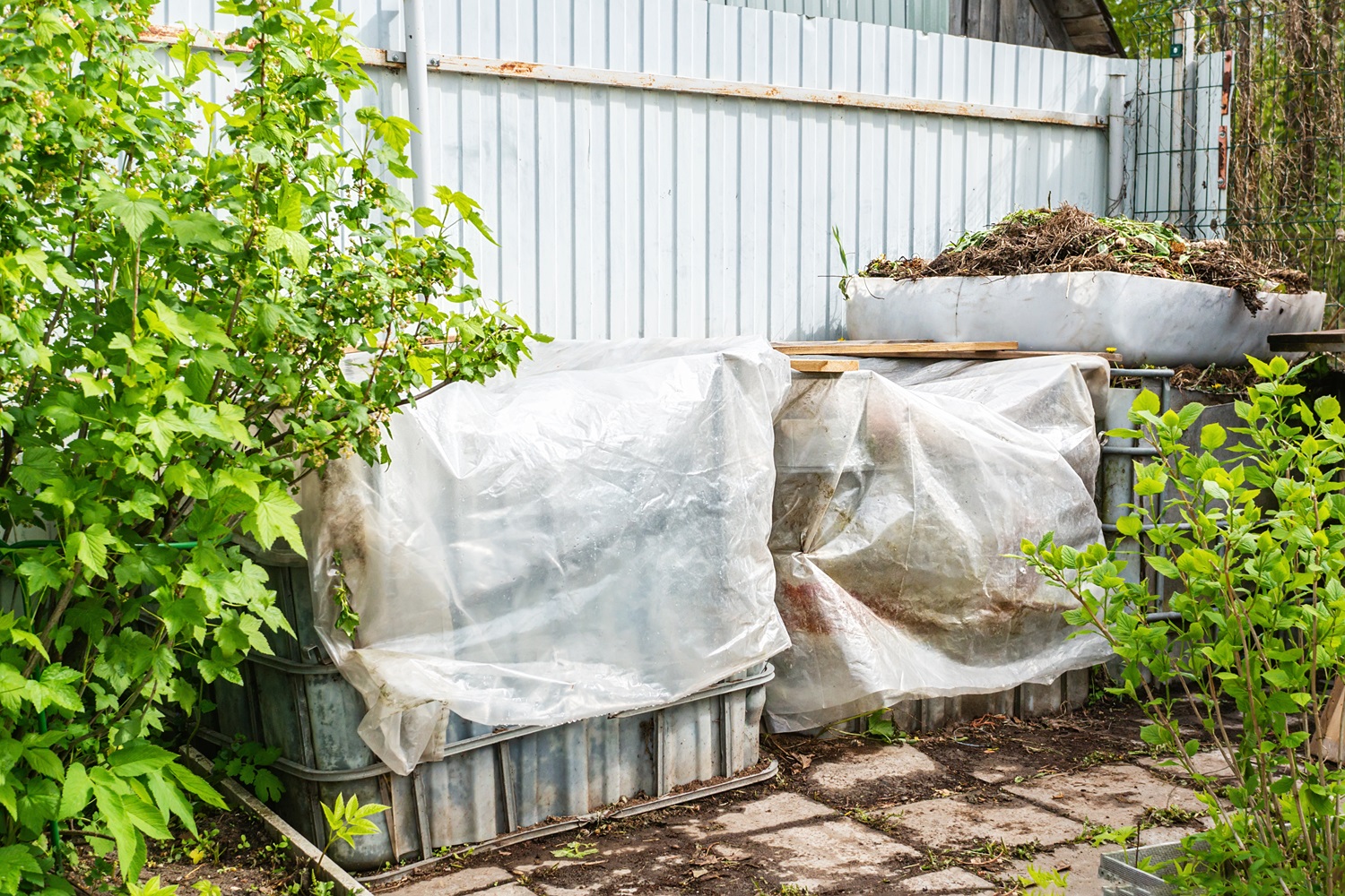 Large containers covered with plastic are set up beside a metal fence in a garden area with green shrubs and trees.