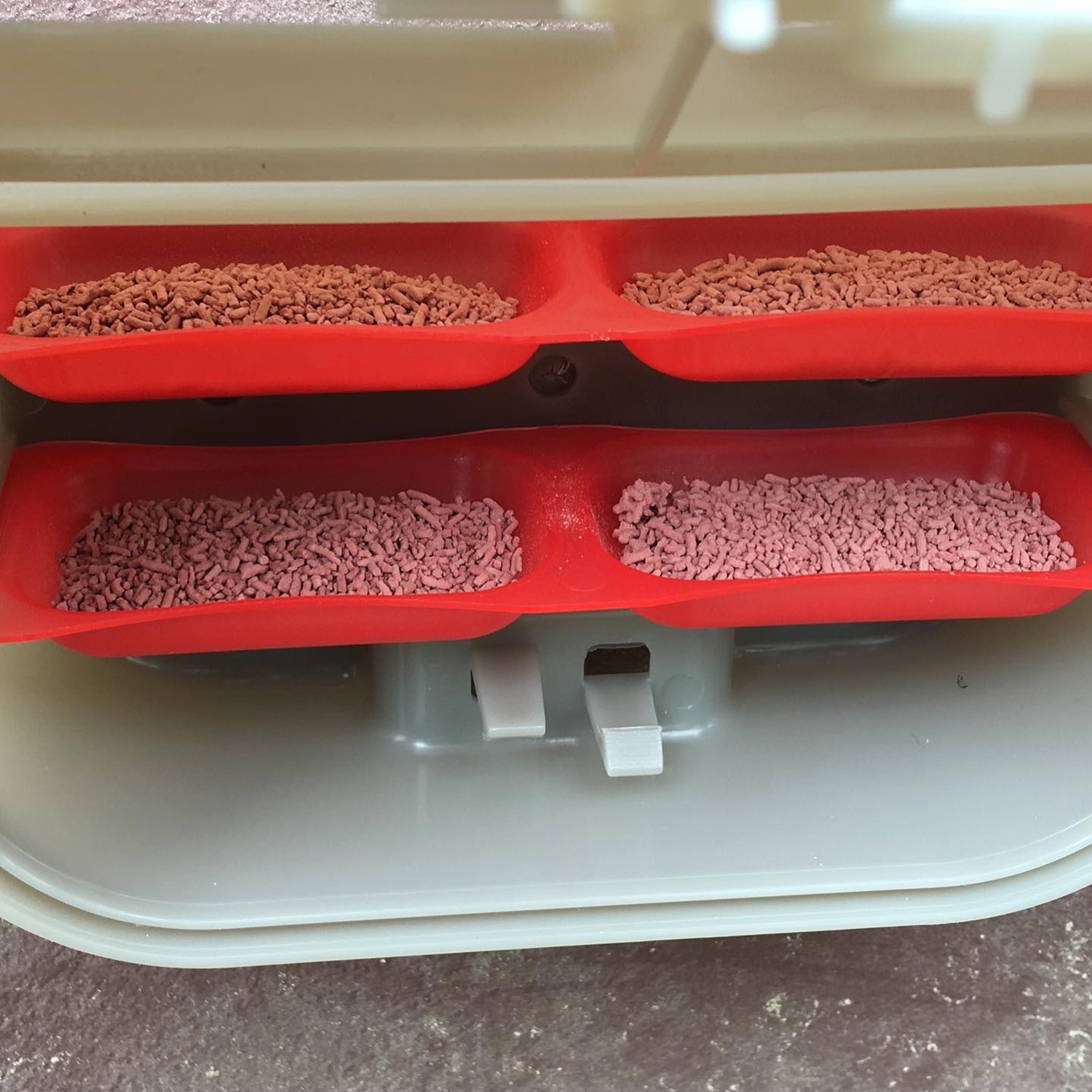 Close-up of an automatic feeder with four red trays containing fly bait.