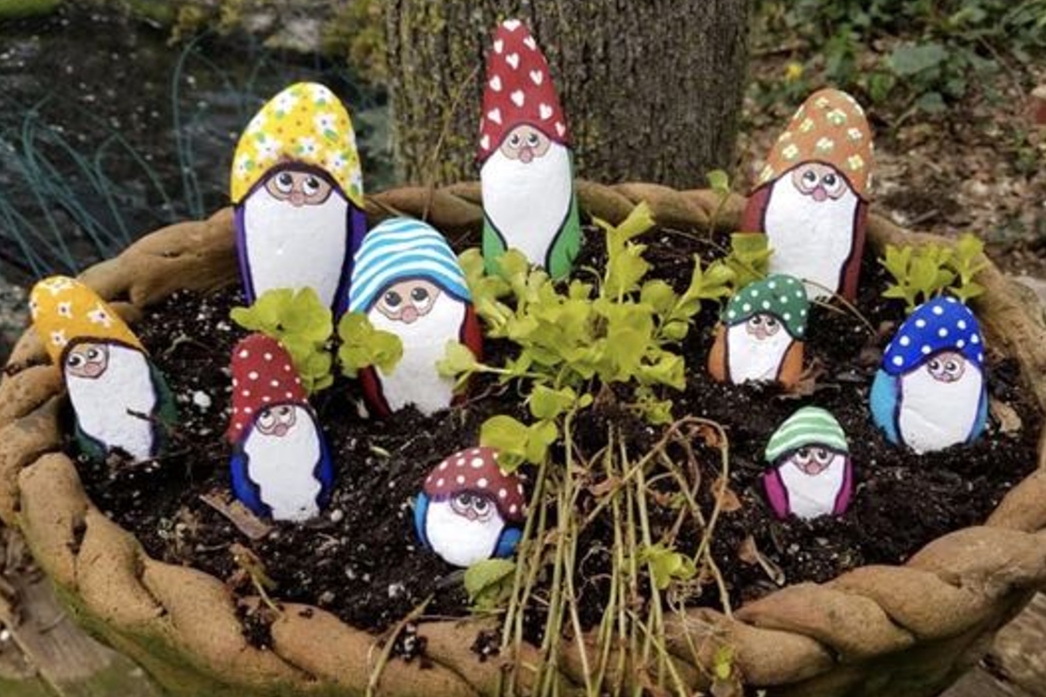 Painted gnome rocks in a planter with small plants and tree trunk in the background