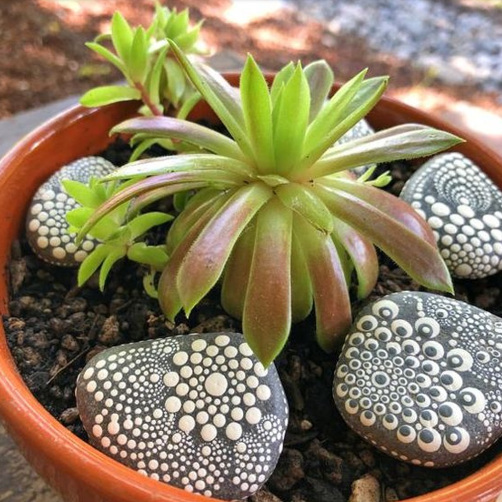 Hand Painted Dot Art on Natural River Rocks