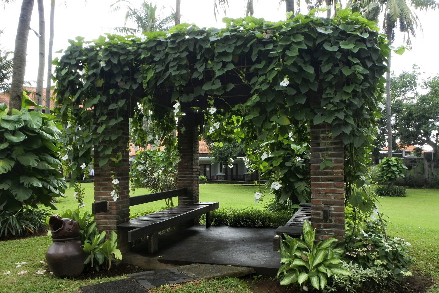 A lush garden pergola with hanging vines and benches underneath